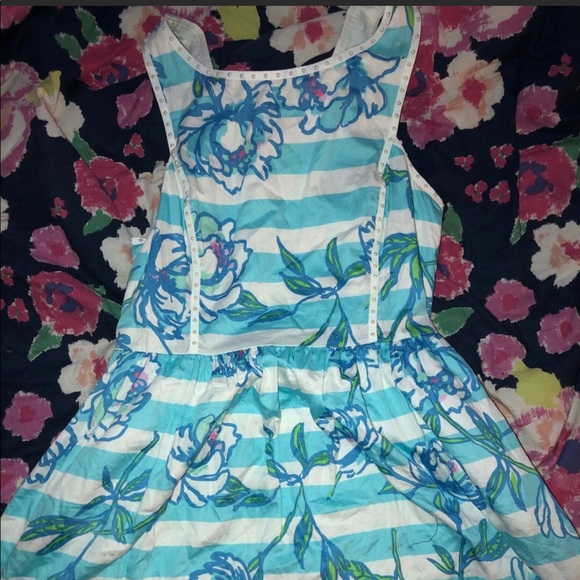 Lilly Pulitzer Dress - Picture 3 of 5